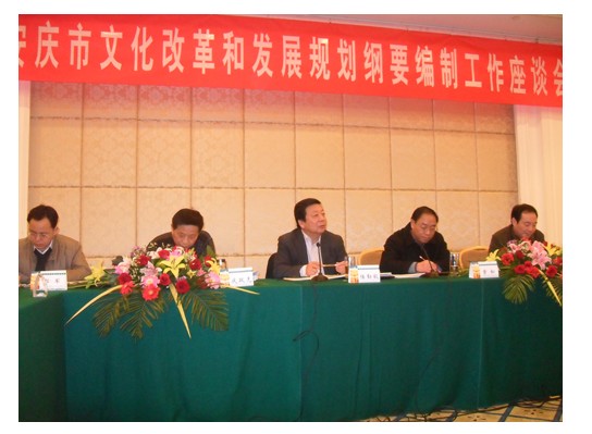 我院“安庆市文化改革与发展规划纲要”课题组赴宜开展实 