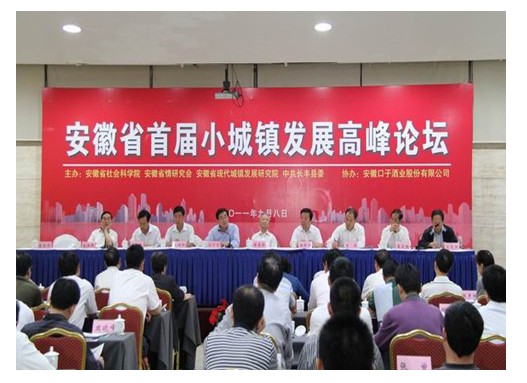 我院领导和专家参加安徽省首届小城镇发展高峰论坛