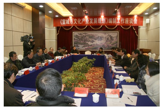 陆勤毅率队启动《宣城市文化产业发展规划》编制工作