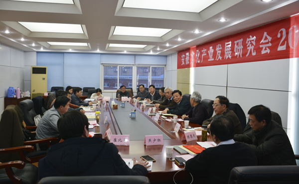 ​安徽文化产业发展研究会召开2015年会