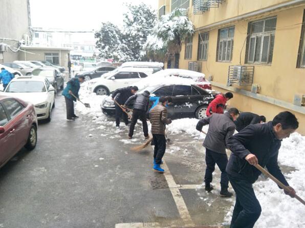 我院组织干部职工义务铲雪