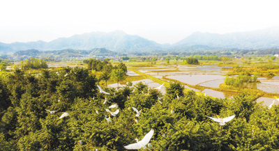 /uploads/image/2020/10/30/32839df4ccd5eba2c3735c1ad14080a0.jpg 111.jpg