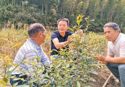 /uploads/image/2020/10/30/aadc516ac7374b1e30b488ebe93a1287.jpg 333.jpg