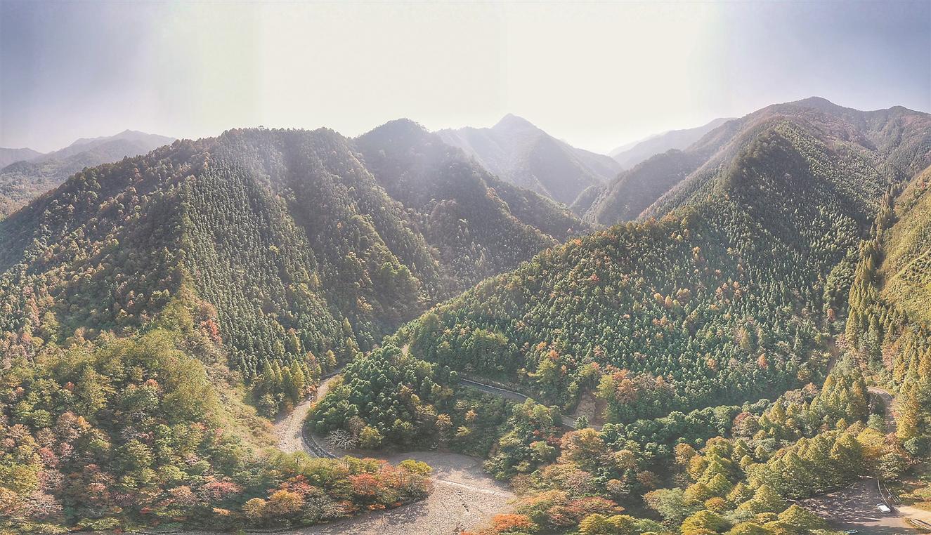 /uploads/image/2020/11/12/d005e66b620c9e0669d7affed9d04b22.jpg 44.jpg