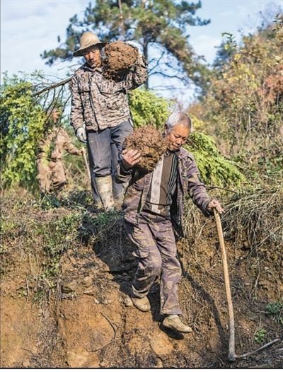 /uploads/image/2021/01/11/d7a1305cfd3c12bf508035d764df8a18.jpg 1111111111.jpg