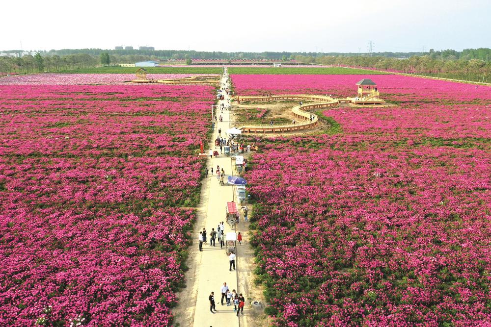 /uploads/image/2021/09/10/f59b62000bdcc539a32eb3437cd1b012.jpg 111.jpg