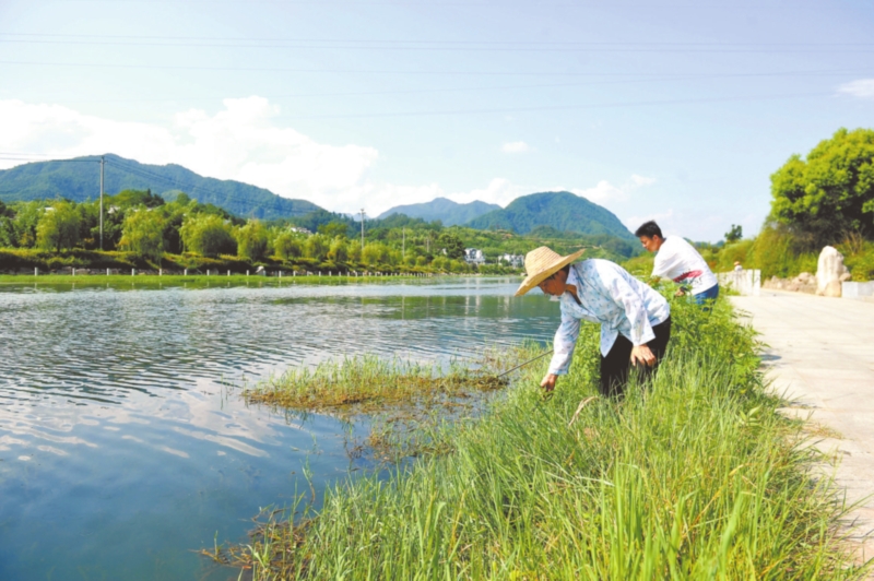 0420220925C_Print-10.jpg 0420220925C_Print-10.jpg