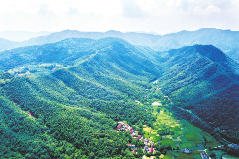 0420220925C_Print-5.jpg 0420220925C_Print-5.jpg