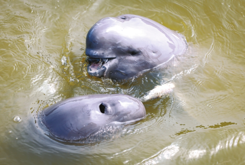 0420220925C_Print-13.jpg 0420220925C_Print-13.jpg