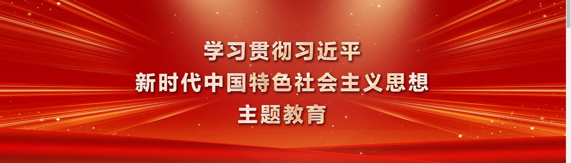 学习贯彻习近平新时代中国特色社会主义思想主题教育