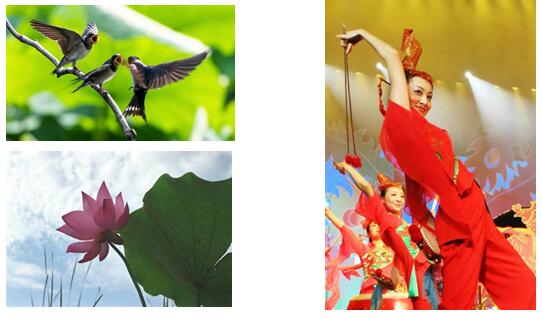 /uploads/image/2023/11/23/f50d35e4465c2fbc32c49bd72ee3a4f6.jpg QQ截图20231123174928.jpg