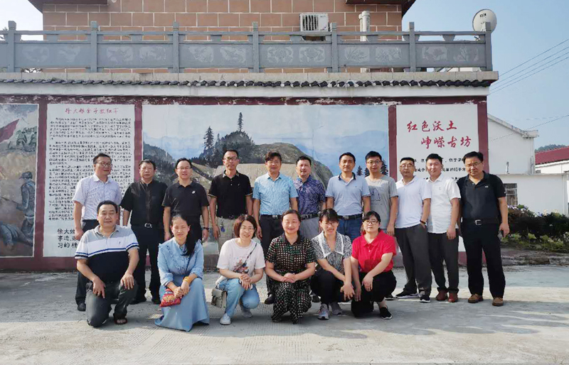 沈跃春带队到岳西县上坊村开展集中走访帮扶活动