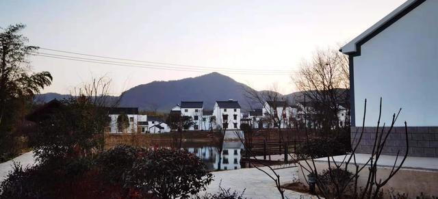 “长三角之心”的乡村蝶变