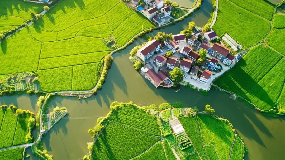 打造长三角绿色奶业基地