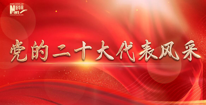 党的二十大代表风采