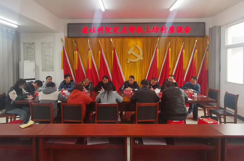 杨俊龙副院长带队赴岳西县调研定点帮扶工作