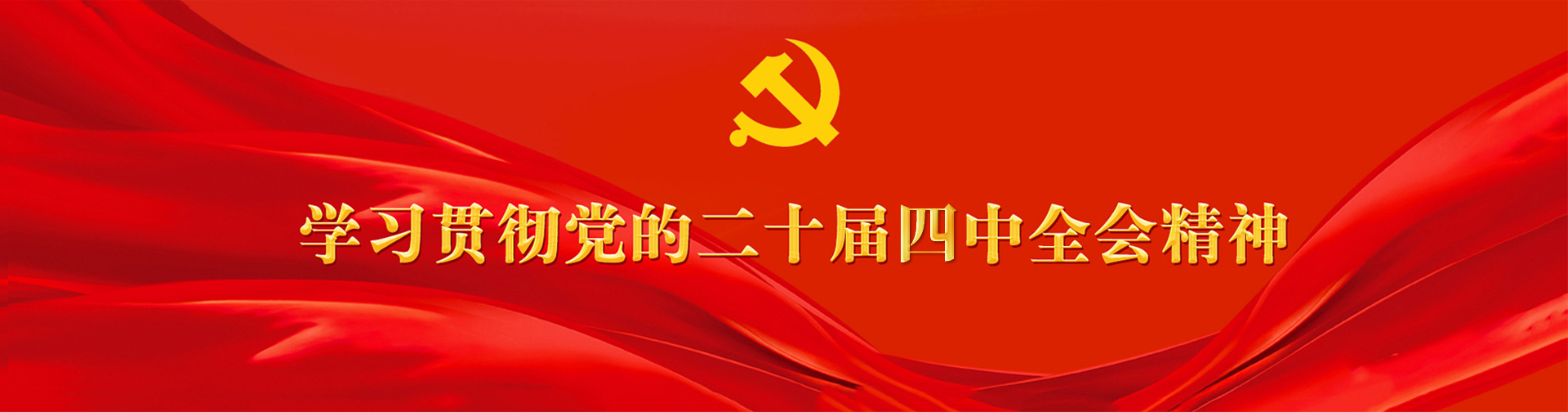 学习贯彻党的二十届四中全会精神专题