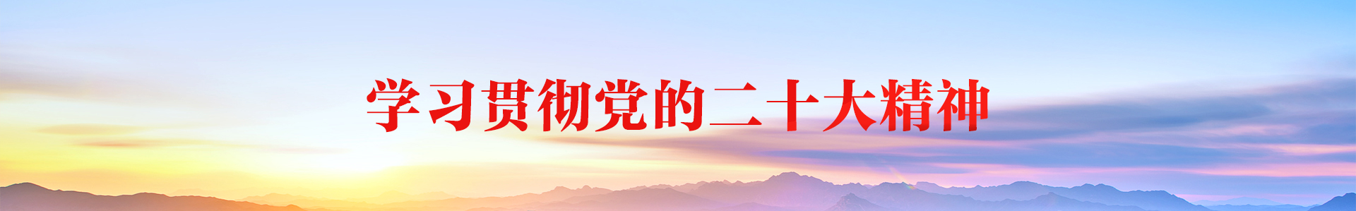 学习贯彻党的二十大精神