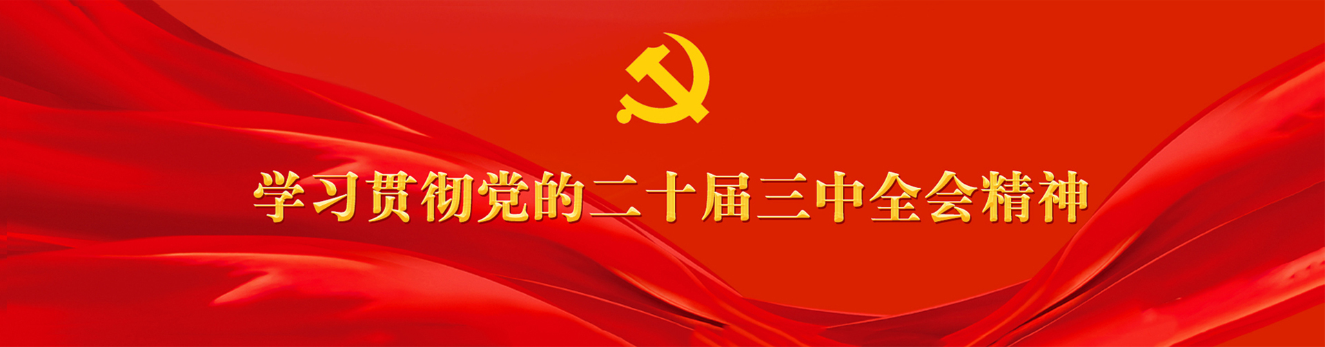 学习贯彻党的二十届三中全会精神专题