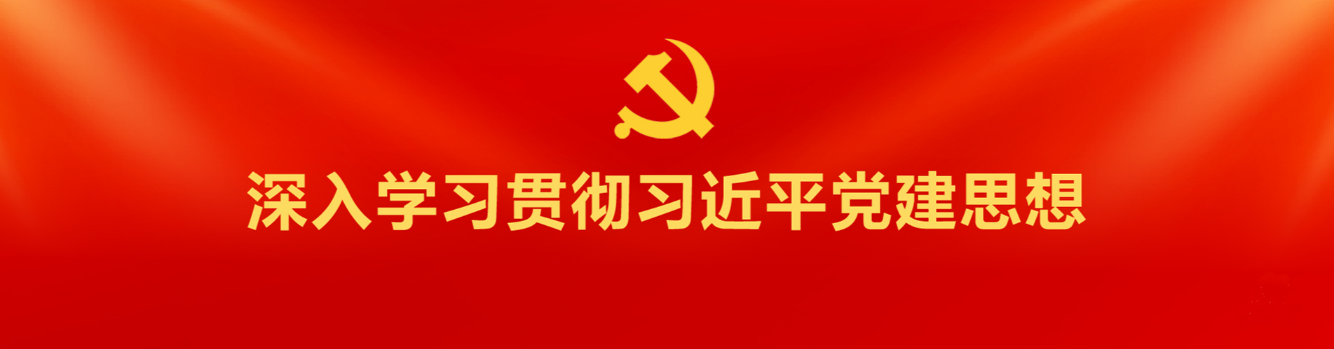 深入学习贯彻习近平党建思想